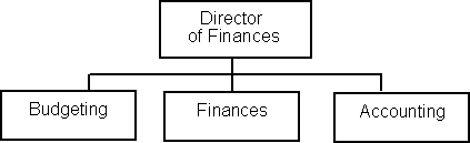 Director of Finances